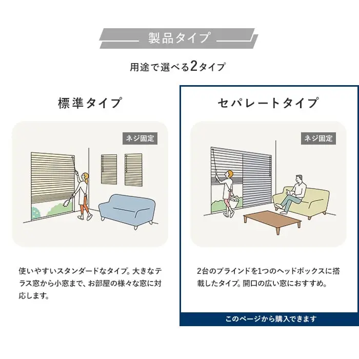 製品タイプ