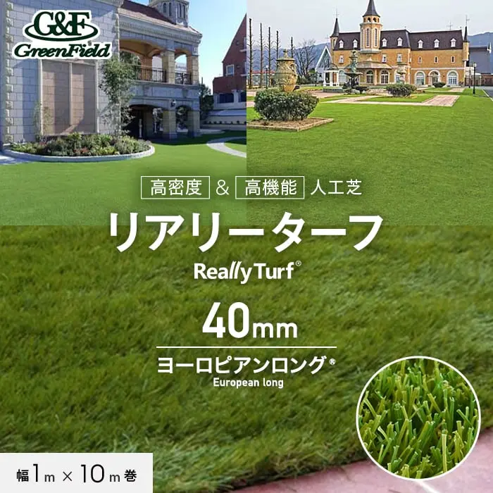 リアリーターフ