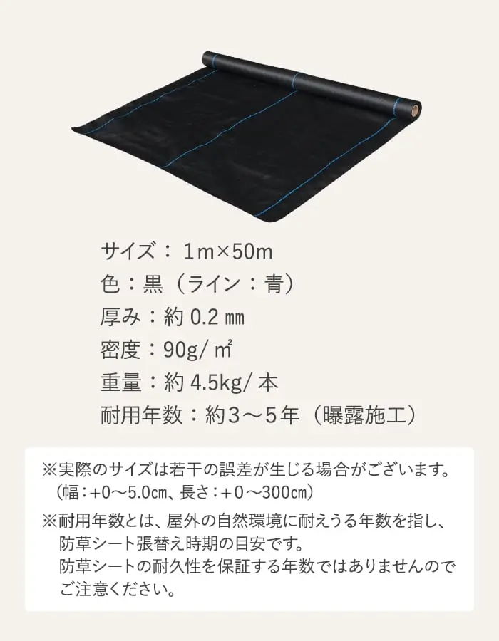 サイズ