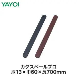 カグスベールプロ
