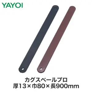 カグスベールプロ