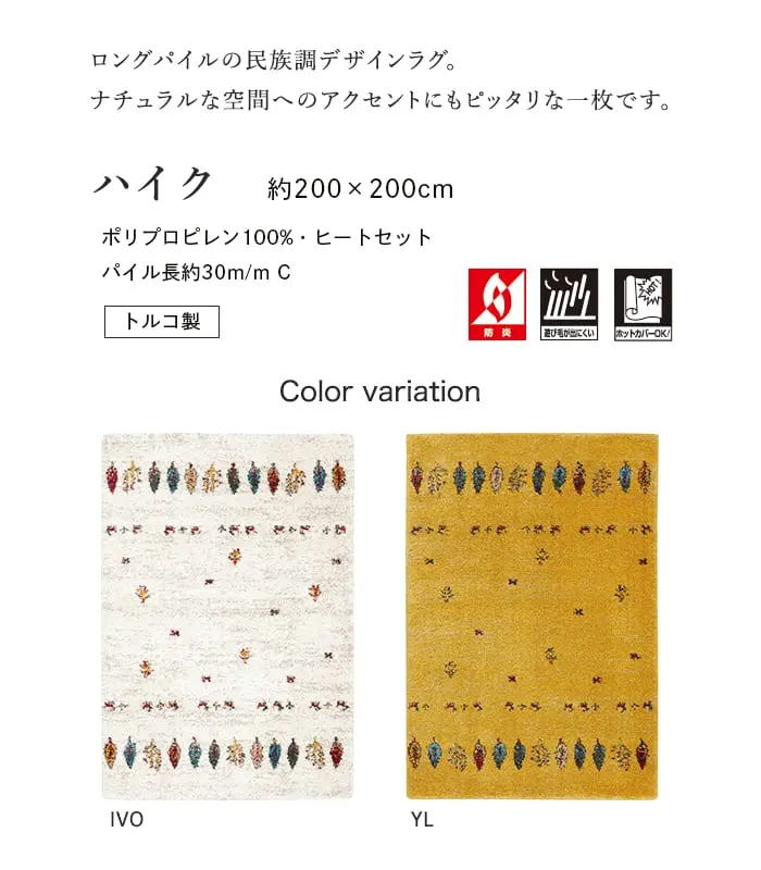 ロングパイルの民族調デザインラグ。