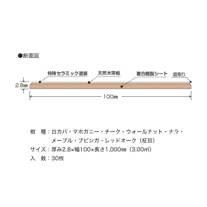 特殊セラミック塗装