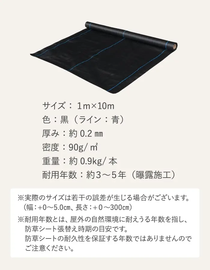 サイズ