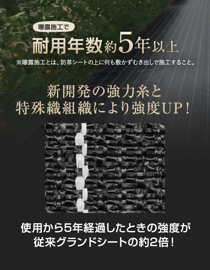 耐用年数約5年以上