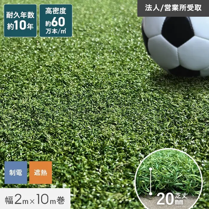 耐久年数約10年