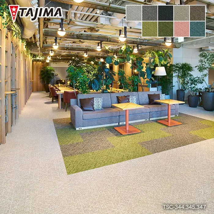 TAJIMA