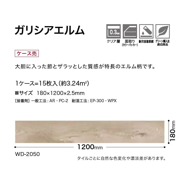 ガリシアエルム