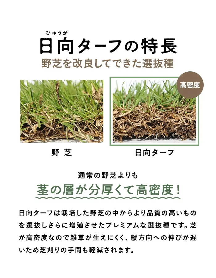 日向ターフの特長