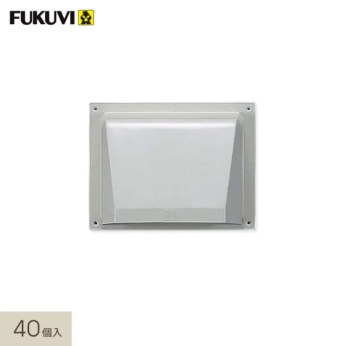 40個入