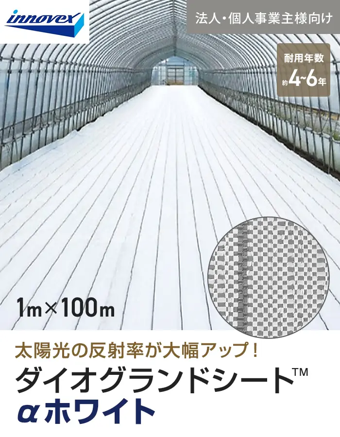【法人・個人事業主様専用】イノベックス 防草シート ダイオグランドシート α ホワイト 1516OW 1m×100m【掲載品番】IV16OW-1-1C