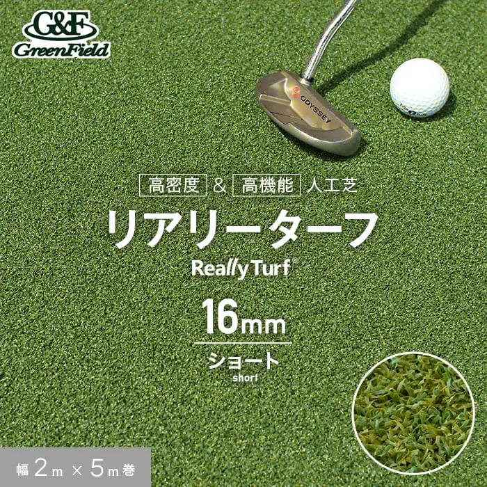 リアリーターフ