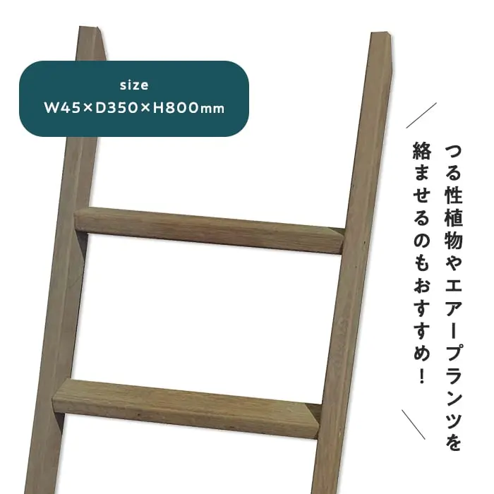 つる性植物やエアープランツを絡ませるのもおすすめ!