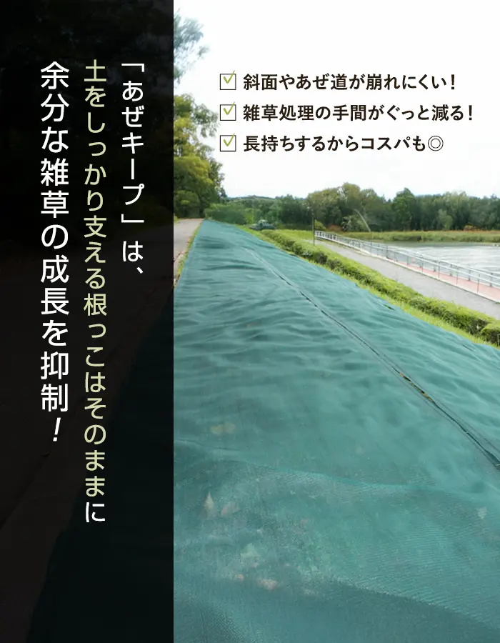 土をしっかり支える根っこはそのままに余分な雑草の成長を抑制