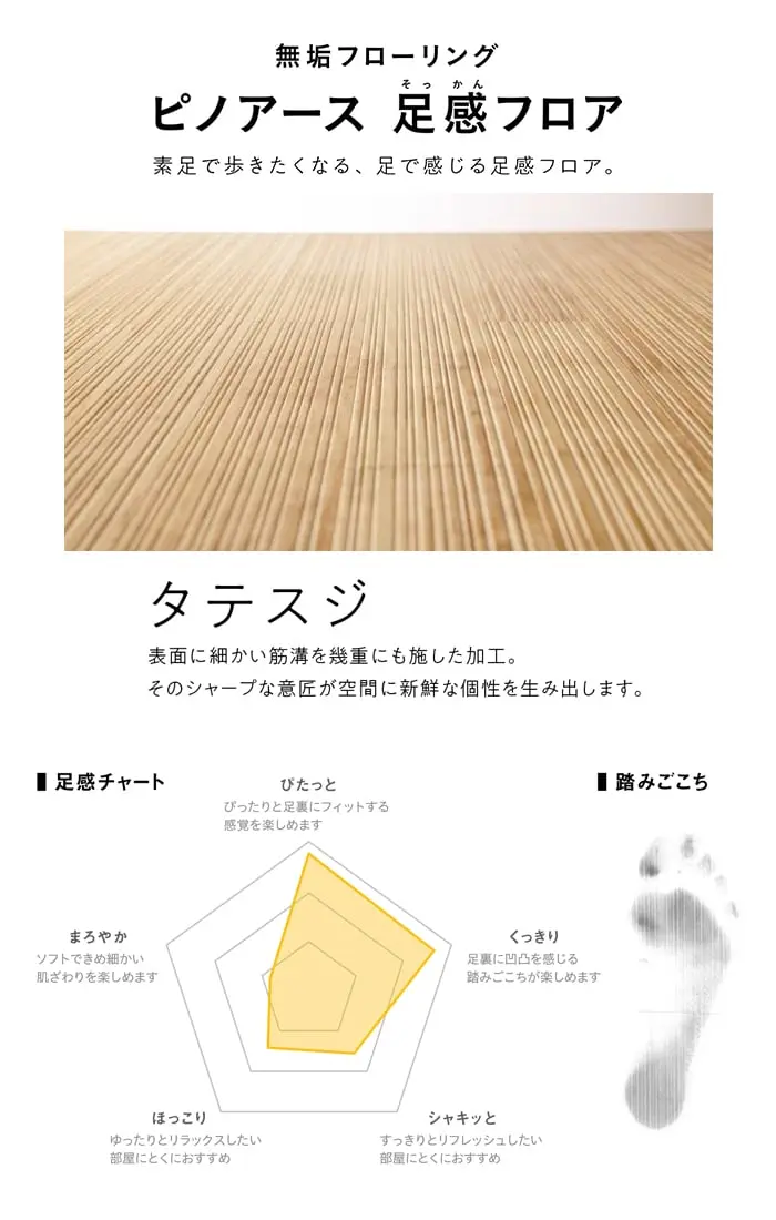 タテスジ