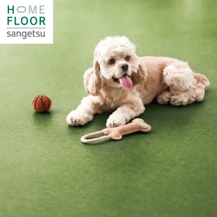 HOME FLOOR sangetsu