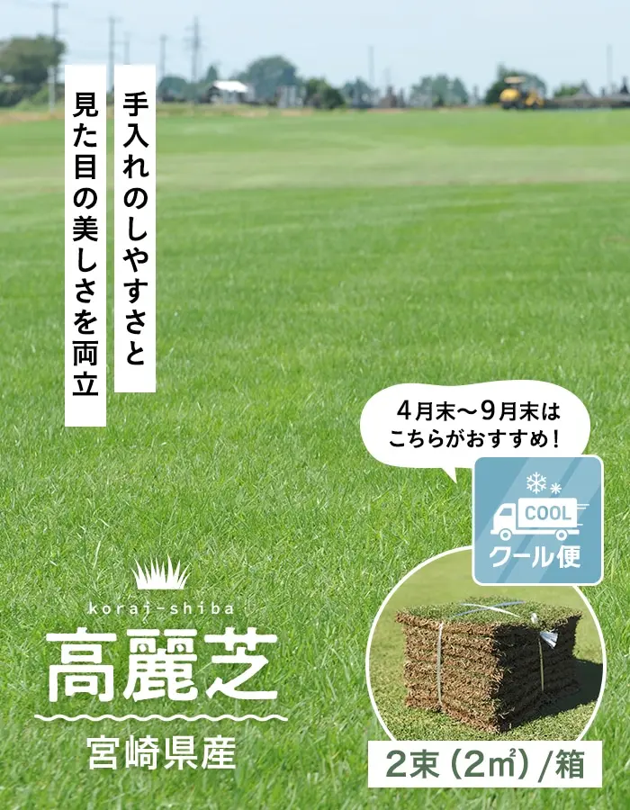 手入れのしやすさと見た目の美しさを両立