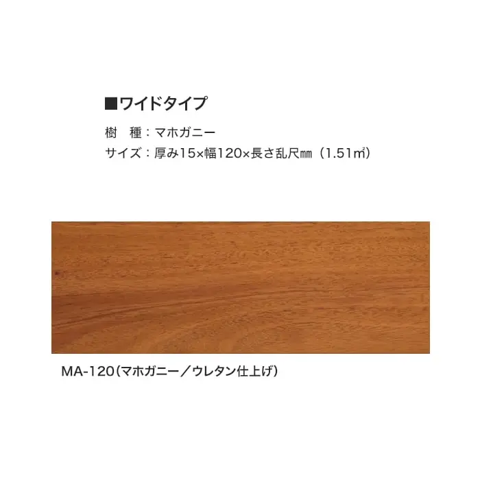 ワイドタイプ