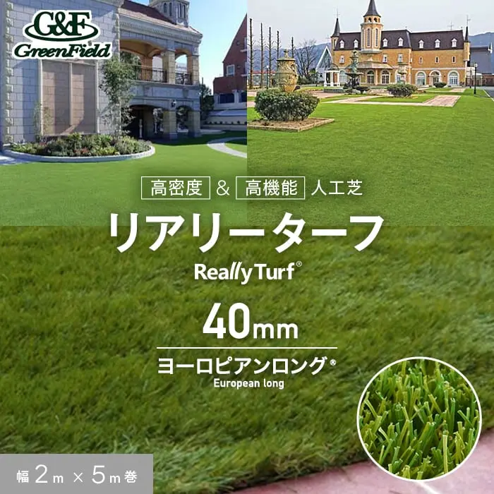 リアリーターフ