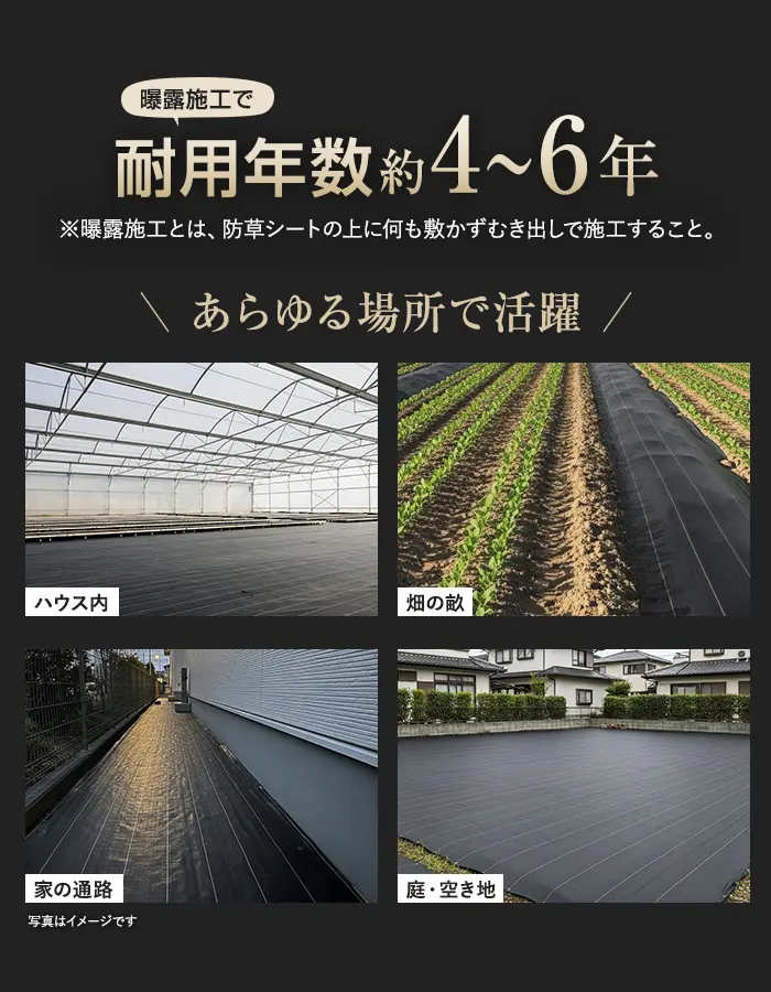 耐用年数約4~6年