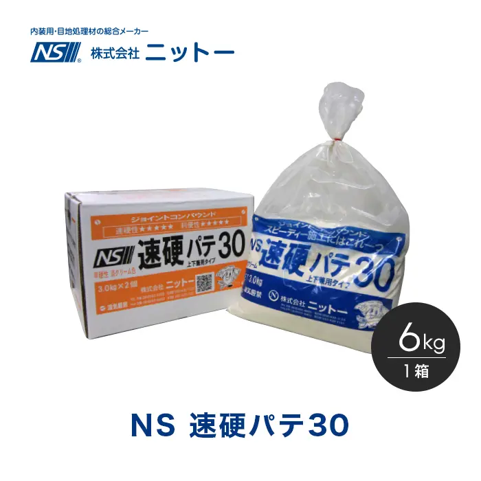 NS 速硬パテ30