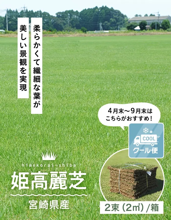 柔らかくて繊細な葉が美しい景観を実現