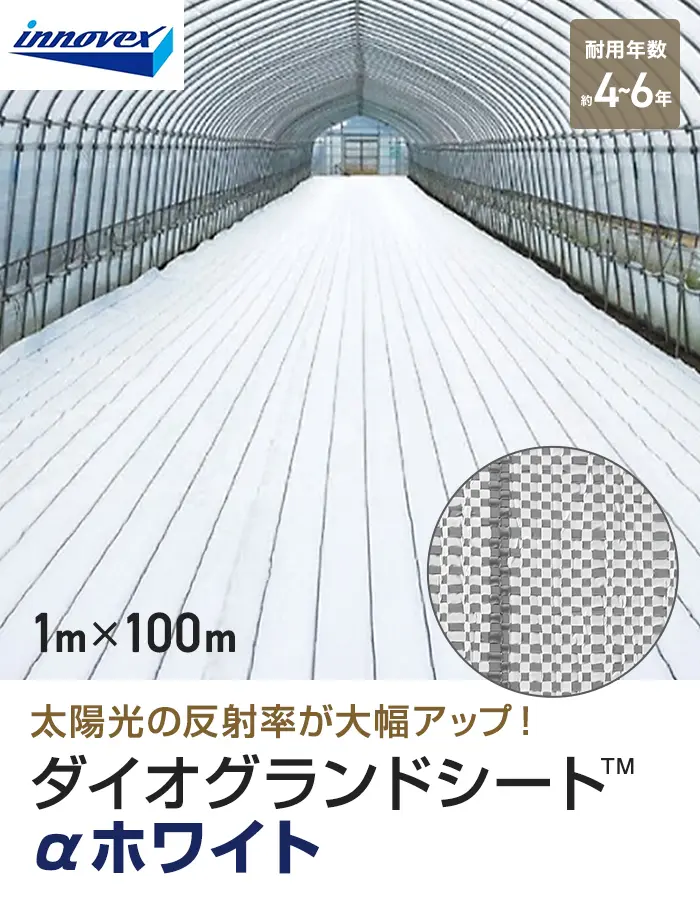 イノベックス 防草シート ダイオグランドシート α ホワイト 1516OW 1m×100m 4~6年【掲載品番】IV16OW-1-1P