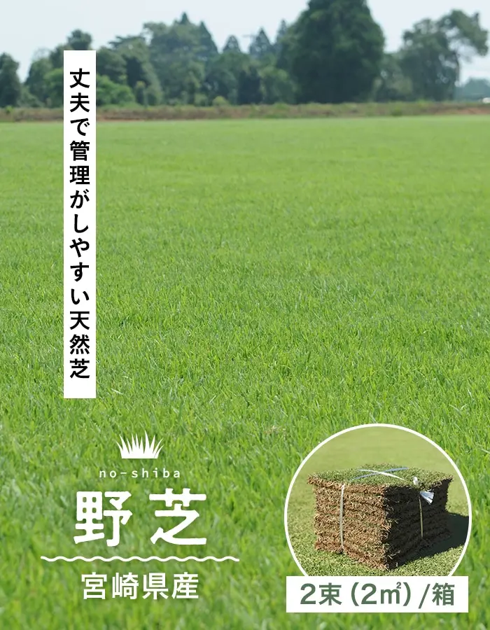 丈夫で管理がしやすい天然芝
