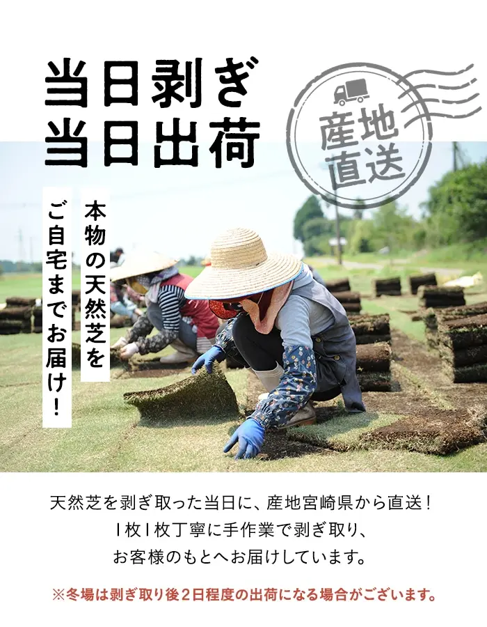 当日剥ぎ当日出荷