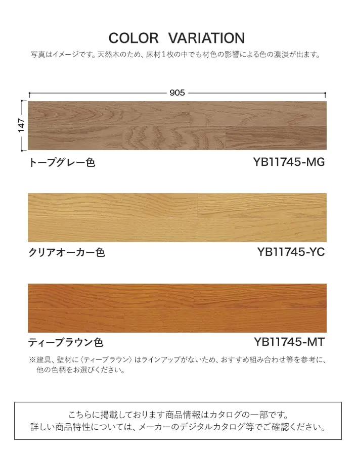 カラーラインナップ