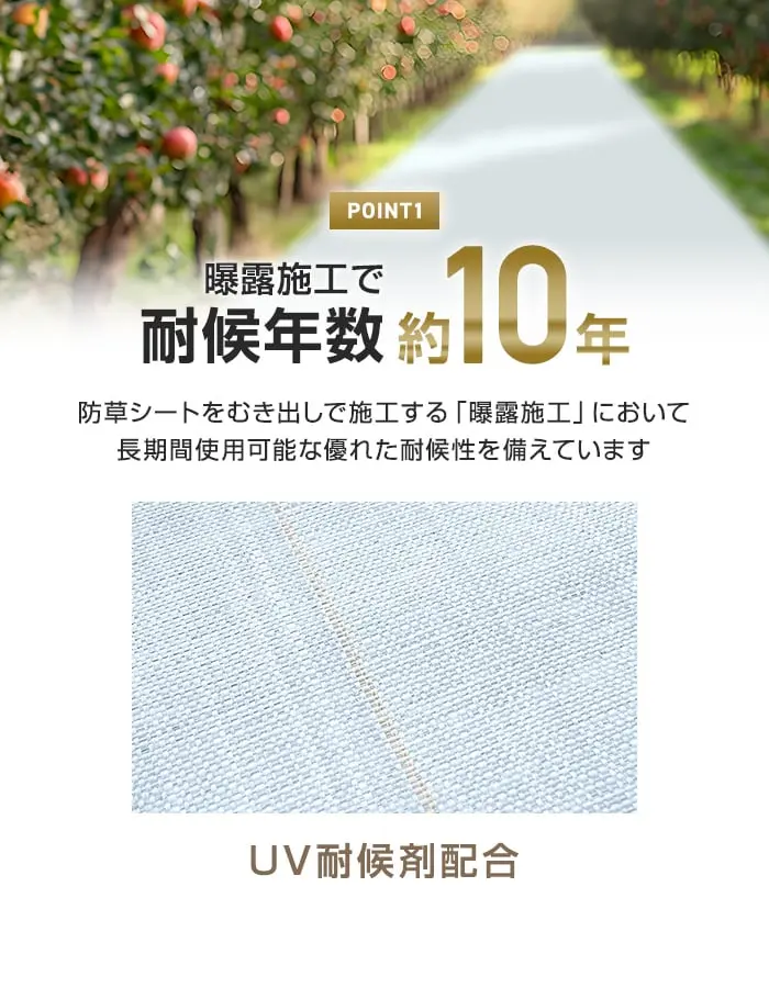 耐候年数約10年