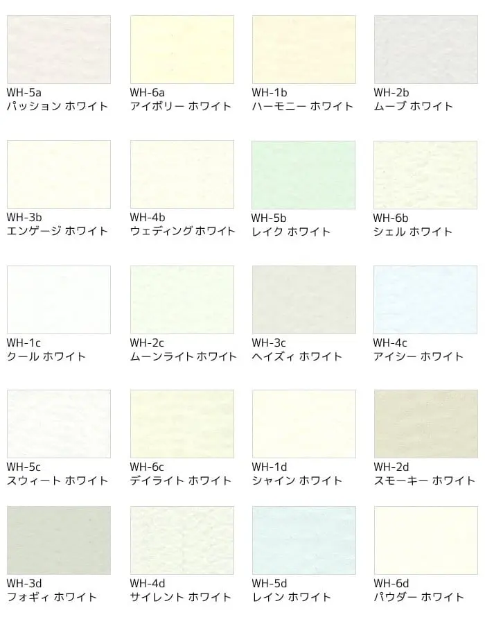 カラーバリエーション