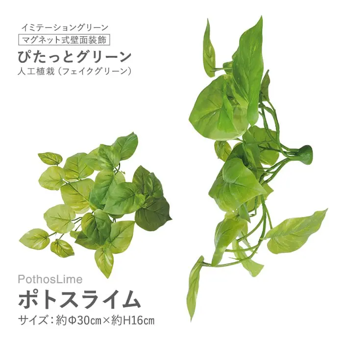 マグネット式壁面装飾 ぴたっとグリーン 人工植栽 ポトスライム【掲載品番】PG-001