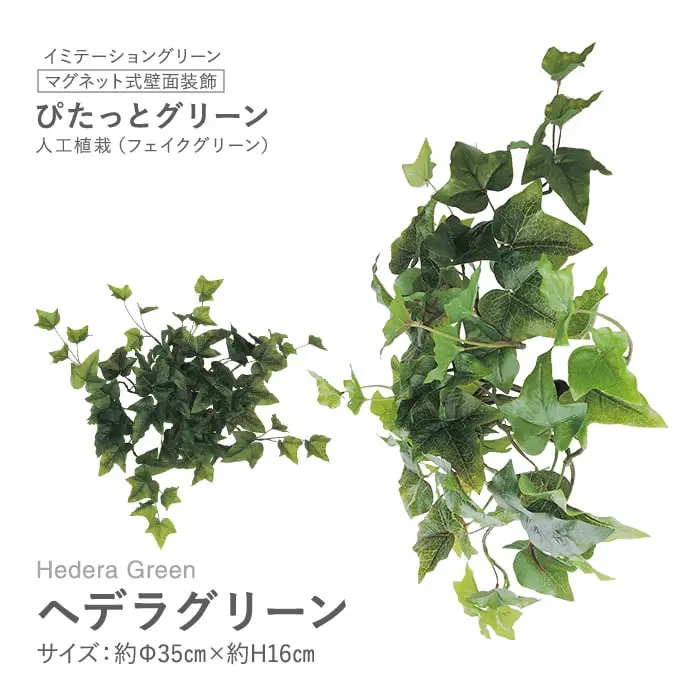 マグネット式壁面装飾 ぴたっとグリーン 人工植栽 ヘデラグリーン【掲載品番】PG-003