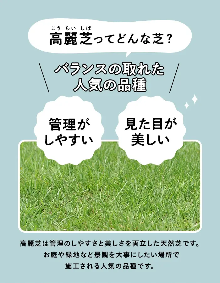 高麗芝ってどんな芝?