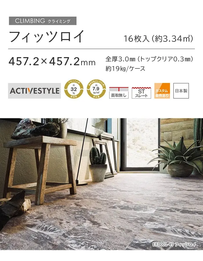 フィッツロイ