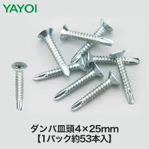 ダンバ皿頭 4×25mm