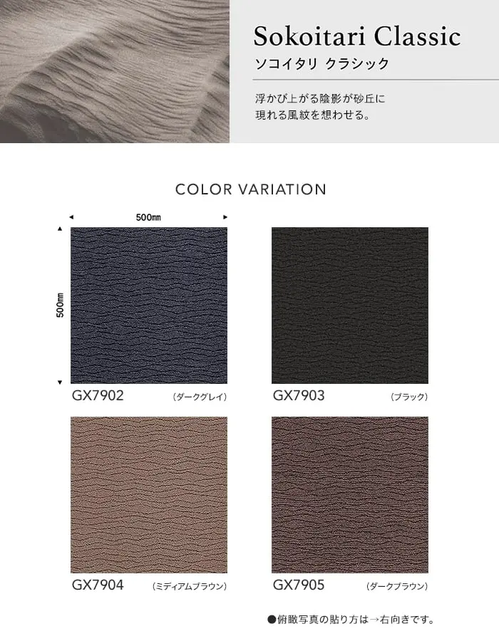 浮かび上がる陰影が砂丘に現れる風紋を想わせる。