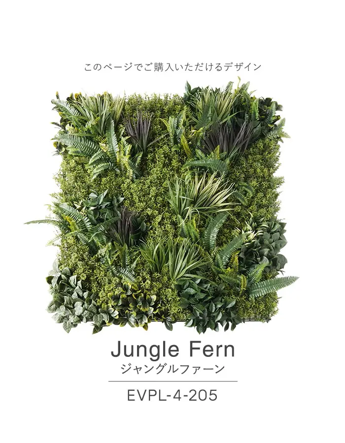 ジャングルファーン