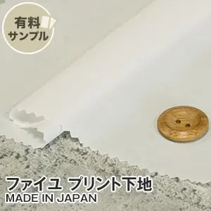 ファイコプリント下地