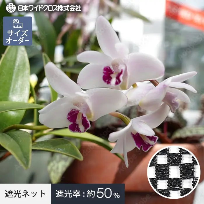 サイズオーダー