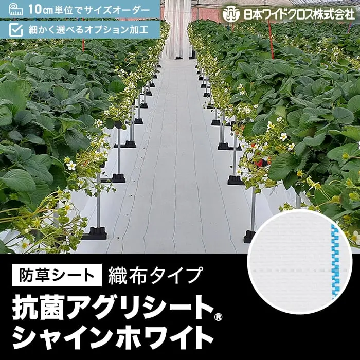 抗菌アグリシート シャインホワイト