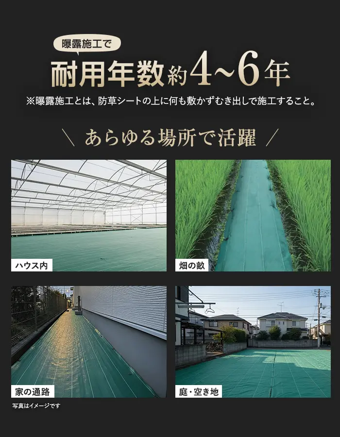 耐用年数約4~6年