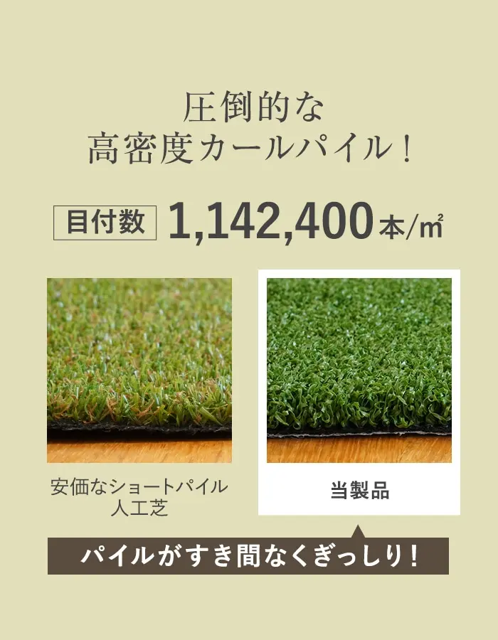 圧倒的な高密度カールバイル!