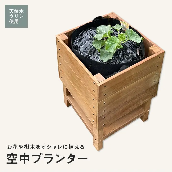 空中プランター