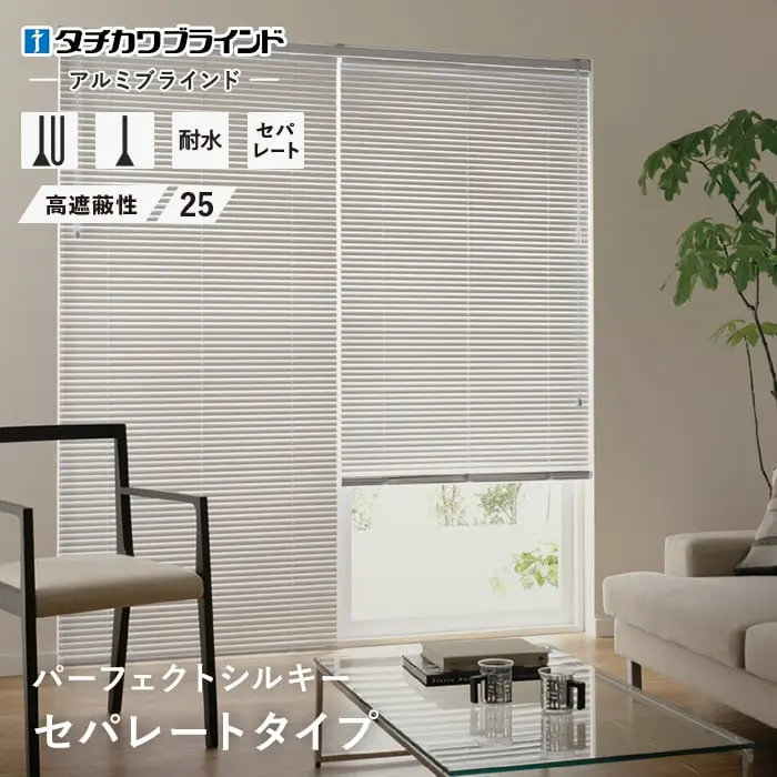 セパレートタイプ