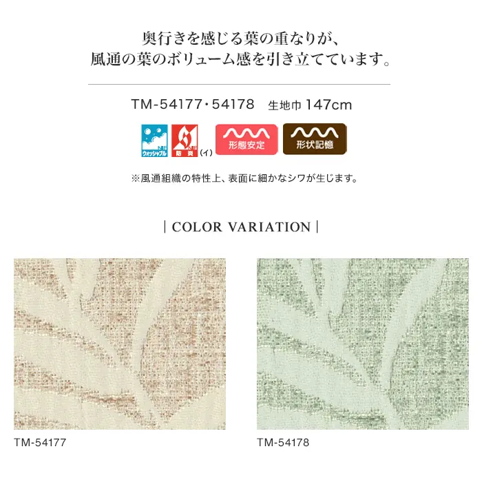奥行きを感じる葉の重なりが、風通の葉のボリューム感を引き立てています。