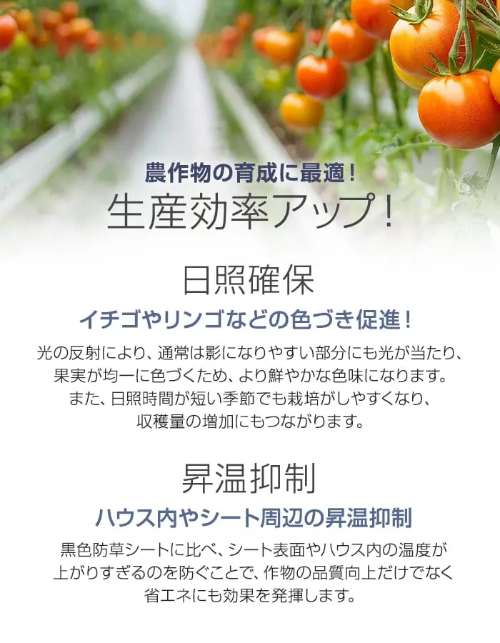 生産効率アップ!