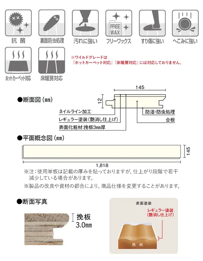 断面図