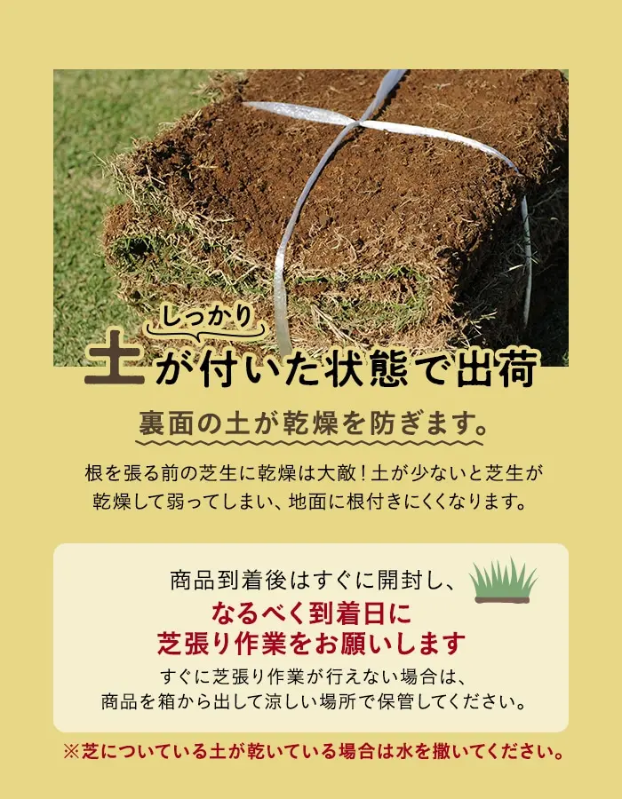 土が付いた状態で出荷裏面の土が乾燥を防ぎます。